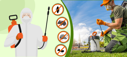 Emergency Pest Control Abbotsford